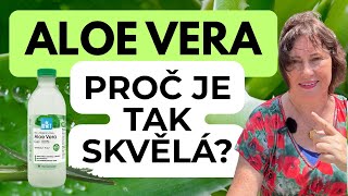🪴 MEGASLEVA: ALOE VERA - proč je tak skvělá? 💚 AVA BROŽOVÁ & JIŘÍ ČERNOTA ✅ osobní rozvoj #aloevera
