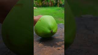 Simple coconut cutting technique