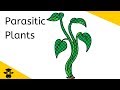 Nutrient Acquisition in Parasitic Plants