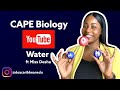 Water Properties and Behavior