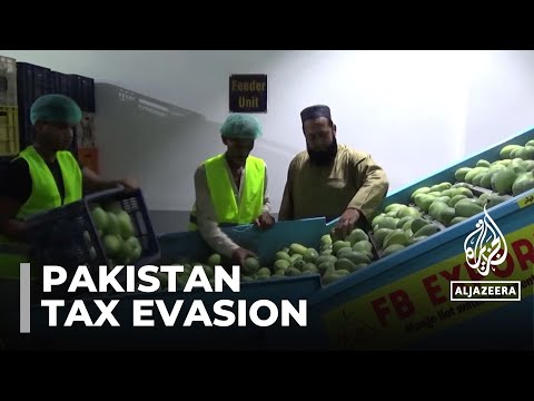 Pakistan targets tax evasion: Government looks to stabilize struggling economy