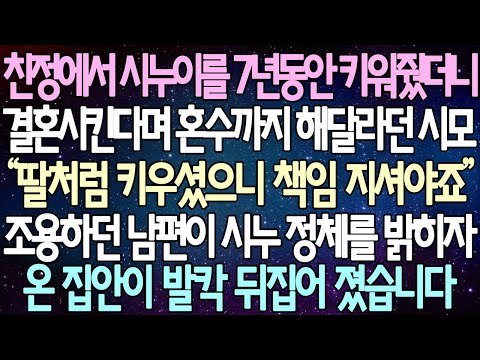 (반전 사연) 친정에서 시누이를 7년동안 키워줬더니 결혼시킨다며 혼수까지 해달라던 시모 조용하던 남편이 시누 정체를 밝히자 온 집안이 발칵 뒤집어 졌습니다 /사이다사연/라디오드라마