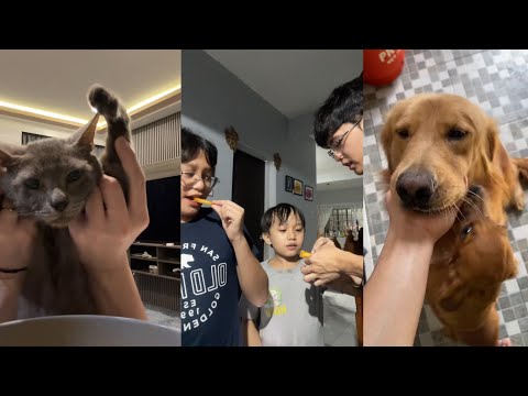 Mamamoblue compilation #1