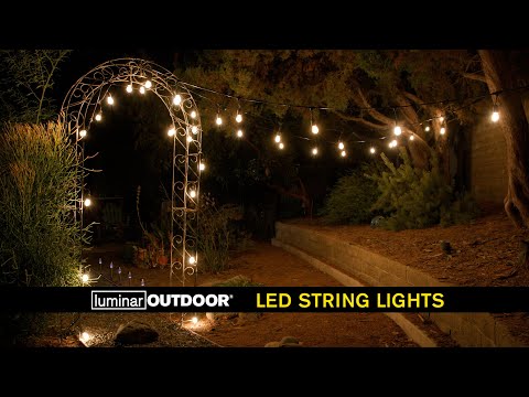 Luminar Outdoor Teardrop String Lights - Outdoor Lighting Ideas