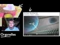 Exploring Cellular Organelles and Their Functions