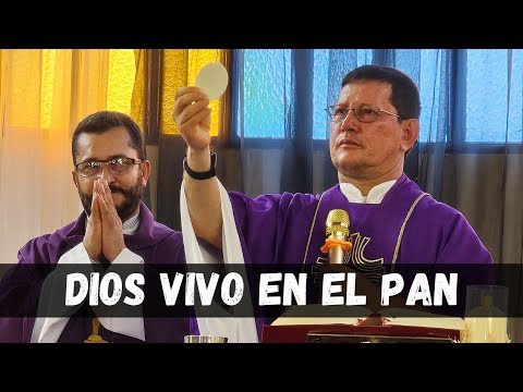 DIOS está VIVO Y PRESENTE en el PAN |  Católico defiende tu fe | PADRE LUIS TORO