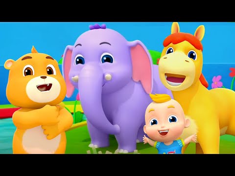 Went To The Zoo, Nursery Rhymes and Animals Cartoon for Kids