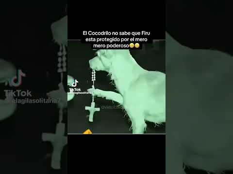 😂😅😄🐕🐊 #viralvideo #humor #viralreels #viral #memes
