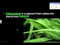 Plant Growth Responses and Photosynthesis