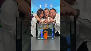 1, 2, 3 - 🏆🥚???