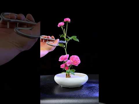 天若有情天亦老 月如無恨月長圓#flowerarrangement
