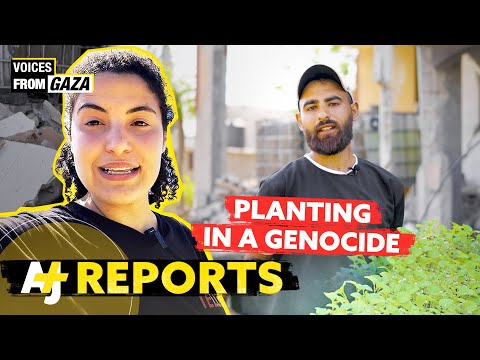 It’s Bisan From Gaza – This Is How We Grow Food In A Genocide