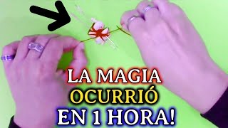 LA MAGIA de amor OCURRIÓ EN 1 HORA! AUN NO LO PUEDO CREER QUE SI FUNCIONARA!