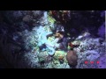 Belize Reef Ecosystem and Features