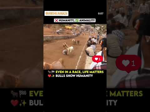 Do u agree ? #trending #love #viral #trend #reels#viralvideo #shorts#shortsvideo#animals #shortvideo