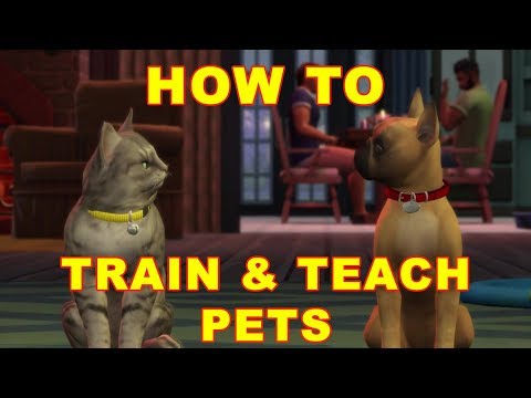 Sims 4 Pet Training Kids 11 2021