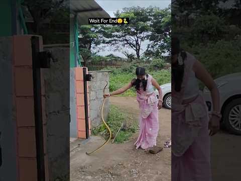साडी नेसली आणि आला साप.. पटकन जाऊन झटकन केला रेस्क्यु