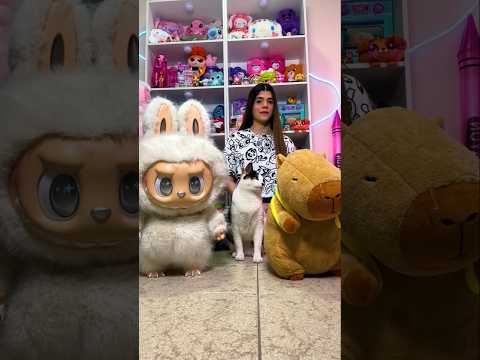 Mi GATITA BEBÉ escoge entre LABUBU y CAPIBARA😱🔥