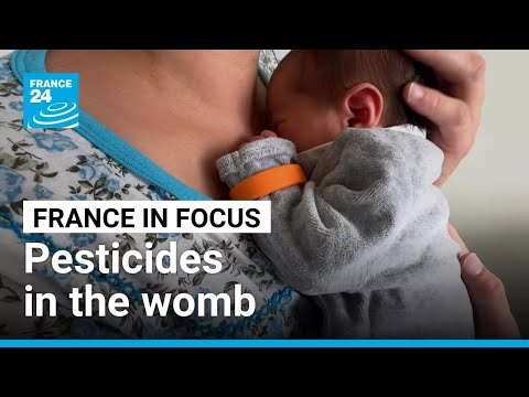 YouTube video thumbnail: Toxic Beginnings: Babies Exposed to Pesticides in the Womb