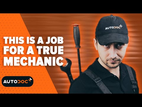 This is a job for a real mechanic 🛠️ #autodoc #lifehack