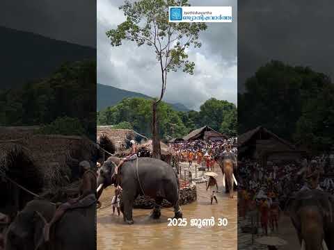 കൊട്ടിയൂര്‍; ചിട്ടകളിലും പൂജകളിലും ഇന്ന് മുതല്‍മാറ്റം #jyothishavartha #KottiyoorFestival