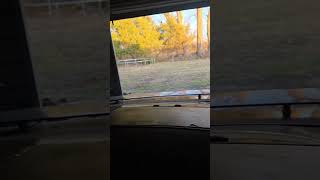First start this year 2.5.2026 #pontiac #firebird #1984 S/E
