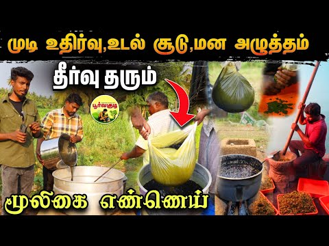பூர்வகுடியின் பழமை மாறாத மூலிகை எண்ணெய் | Hair fall control & hair growth tips Tamil | Edison vlogs