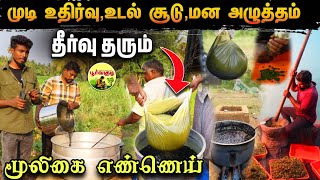 பூர்வகுடியின் பழமை மாறாத மூலிகை எண்ணெய் | Hair fall control & hair growth tips Tamil | Edison vlogs