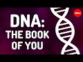 Decoding DNA: The Blueprint of You