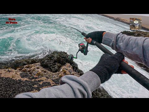 ¡2 Veces la Corvina se Me Escapó... Pero NO Me Rendí! 🐟🔥 Pesca en Rocas del Pacífico Sur