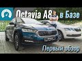 Skoda Octavia Ambition