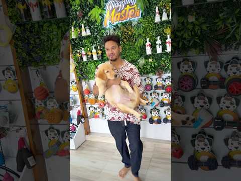 Dodo’s First Bathing & Grooming session || #chotpoti #minivlog #dodo #bongposto