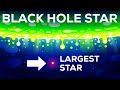 Black Hole Stars and Their Mysteries