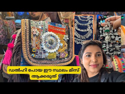 ഇവിടെ പോയ പിന്നെ തിരിച്ചു ഇറങ്ങാൻ തോന്നില്ല  Delhi eating and shopping vlog