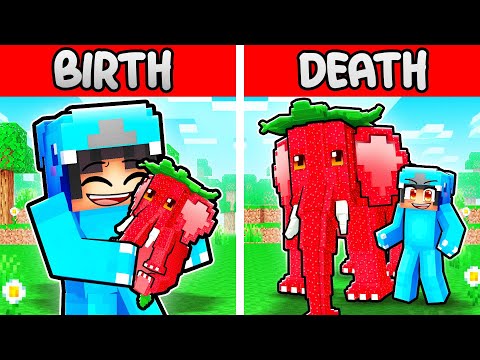 Strawberry Elephant Birth to Death in Minecraft!