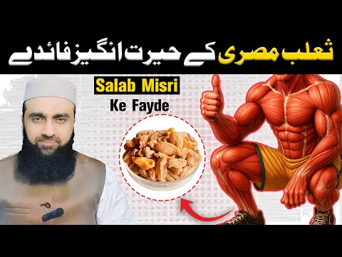 ثعلب مصری کے بہترین فائدے