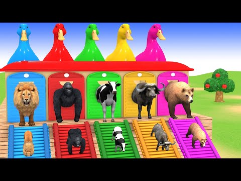 Long Slide Game With Cow Elephant Gorilla Hippopotamus Tiger 3d Animal Game Funny 3d Animals