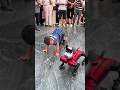 The baby is dancing with the dog..#dance #bboy #funny #bengbeng