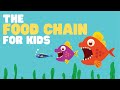 Exploring the Food Chain: Producers and Consumers
