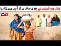 Number daar Chawal Chor Shetaan New Funny Video  Most Comedy Funny Video  You Tv Hd 2025