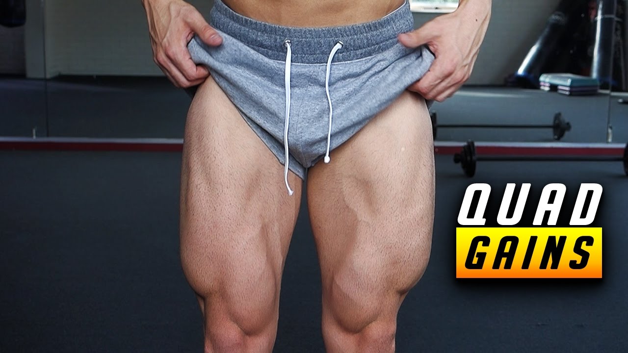 Guaranteed quad gains - leg workout - Fraser Wilson