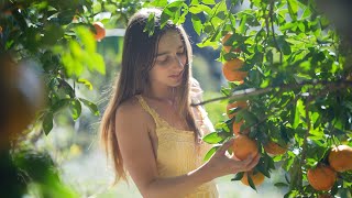 Winter Harvests from the Rainforest: Cooking a Native Plum Cheesecake, Sewing & Permaculture Farming