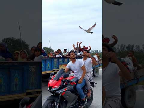 public reaction,  🤪🤪#kabootarlovers🕊️🕊️🕊️ #r15v3 🕊️🕊️ #viralvideo 17 March 2024
