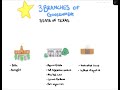 Exploring the Three Branches of Texas State Government