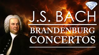J.S. Bach: Brandenburg Concertos