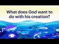 Creation in Genesis