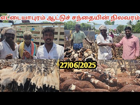 ## தூத்துக்குடி மாவட்டம் எட்டயபுரம் ஆட்டுச் சந்தையின் நிலவரம்...