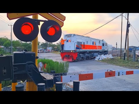 Langsiran Lokomotif | Kereta Api Barang | Perlintasan ALKMAAR Arjawinangun