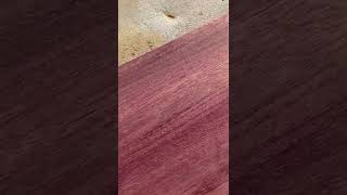 Did you know this about Purpleheart Wood? #shorts