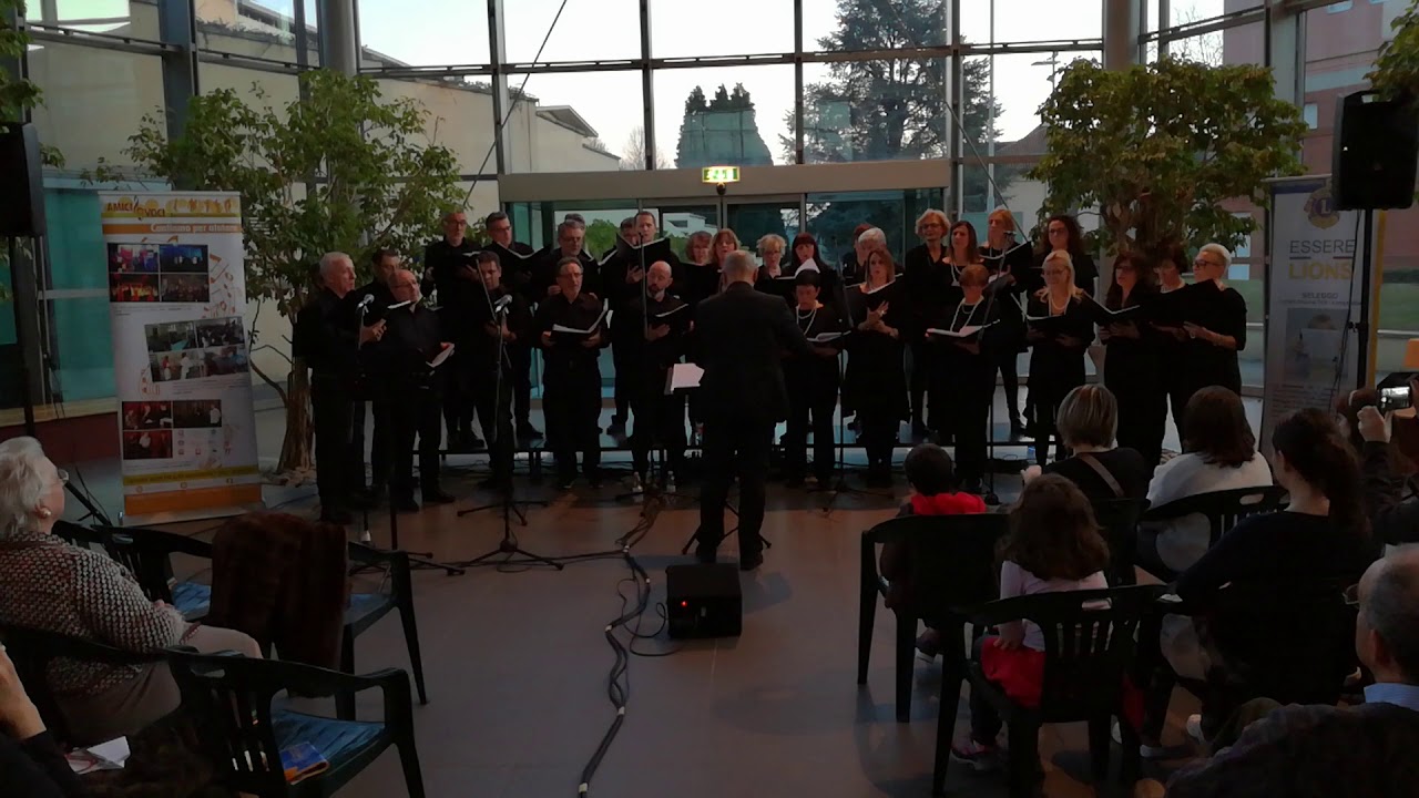 Amici&Voci